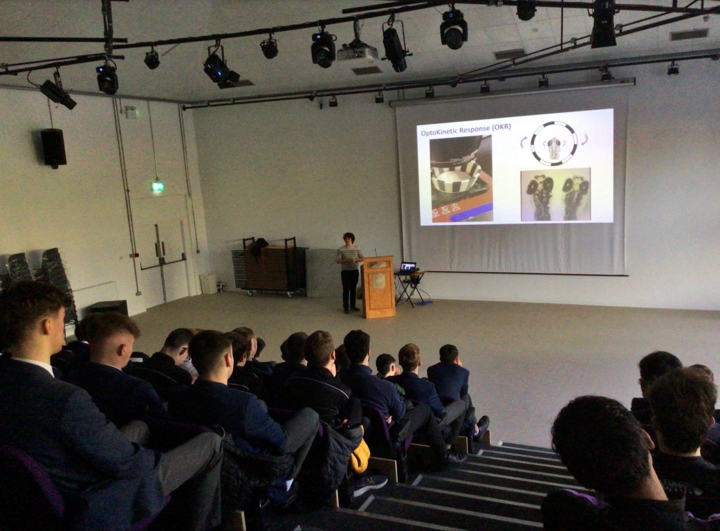 It was a pleasure to return to Presentation Brothers College Cork to talk about my PhD work studying blindness using zebrafish models for #scienceweek2023 

@BreandanKennedy @UCD_Conway @fight_blindness @NUIMerrionSq @scienceirel @Cork_PBC