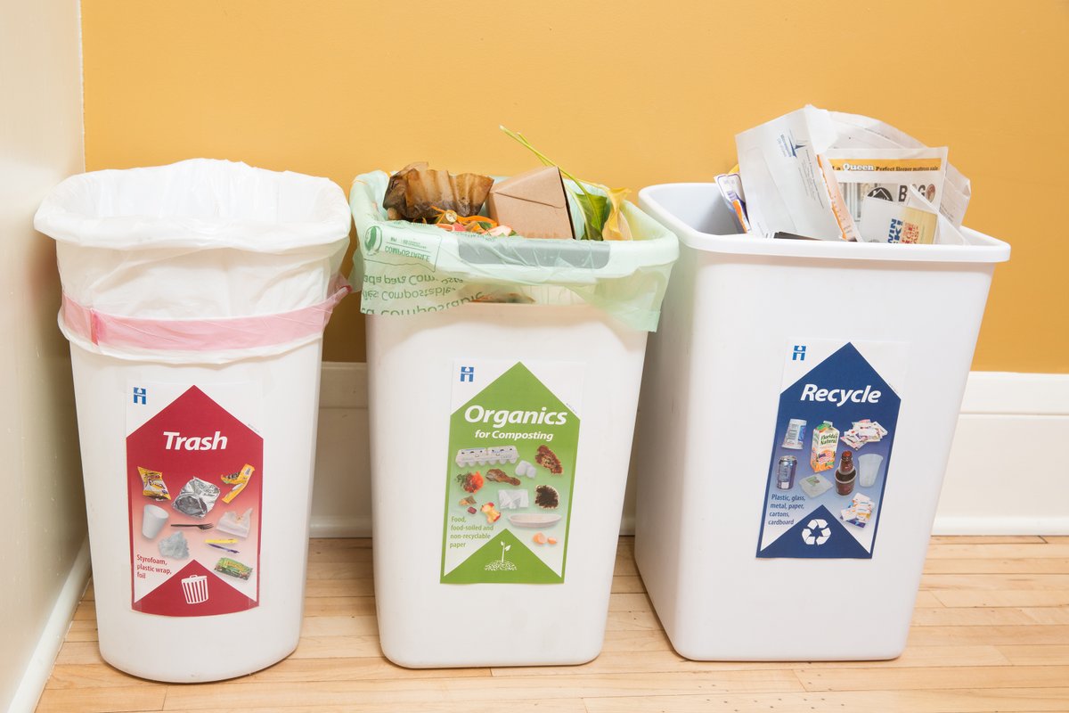 It’s America Recycles Day, a perfect time to recycle right. To help, we have recycling and organics recycling guides available in eight languages plus recycling guide magnets and container labels. Order these free resources at ow.ly/R0Ps50Q32ub #AmericaRecyclesDay