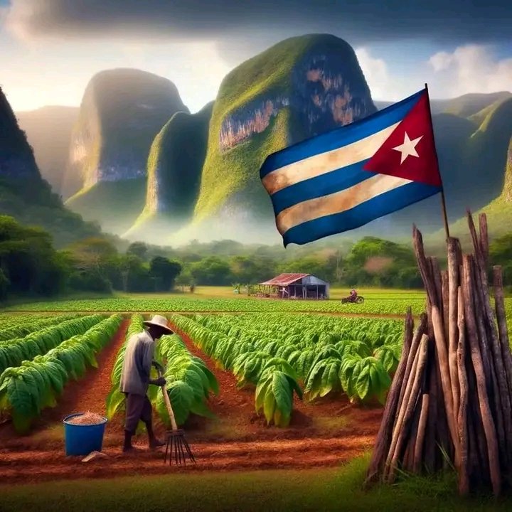 NancyWongMarti1's tweet photo. Buenos días mi #Cuba Bella. Quién dijo que todo está perdido. Hay muchas personas que vienen a ofrecer su corazón. #MujeresEnRevolución , #Atemis ,@FMC_Cuba , https://t.co/H15SfEdhZy