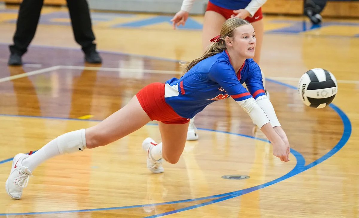 hank 🇰🇷 tweet media