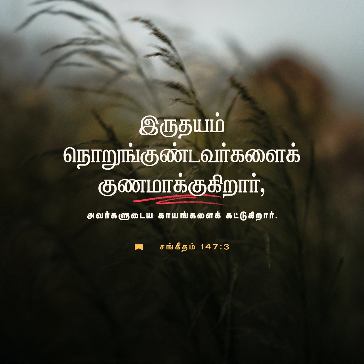 #bible #tamilbible #quotes