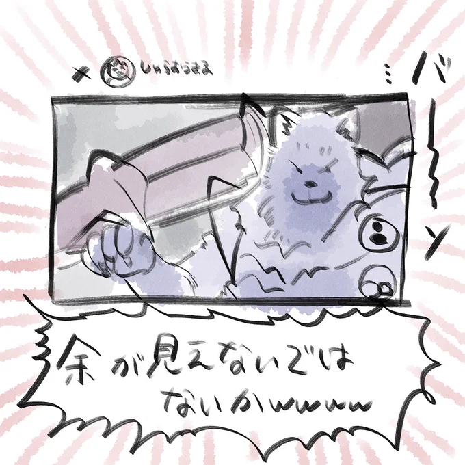 バ〜〜〜ン!! 