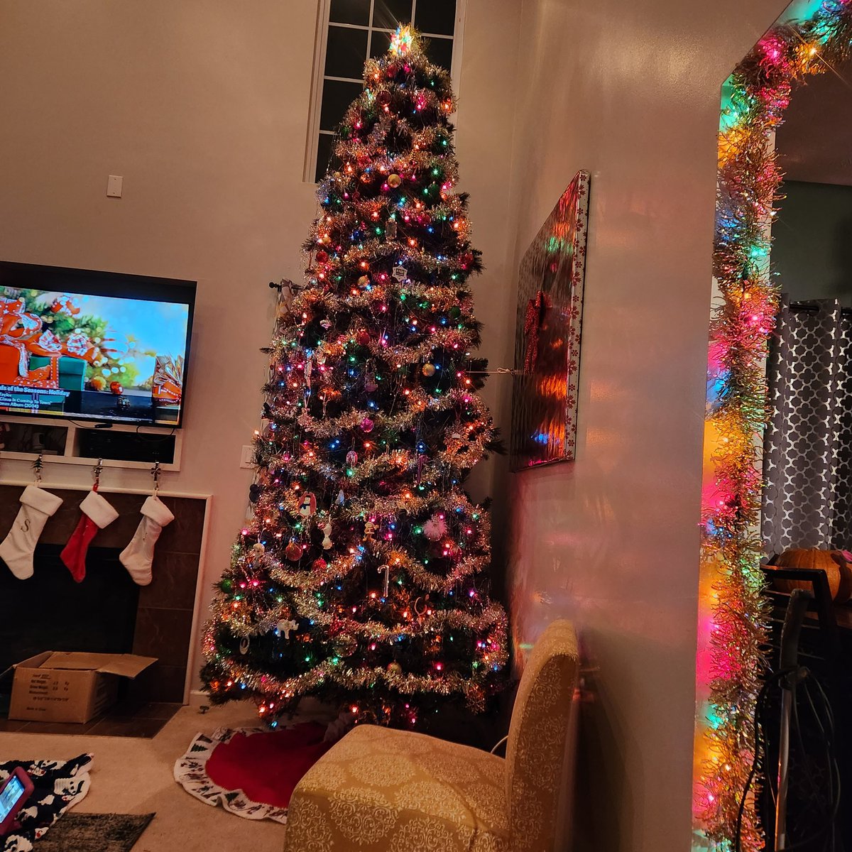LovinJTrain's tweet photo. @HelperToni dammit I needed that tree roller!! 14 ft https://t.co/SXrzwfXIiR