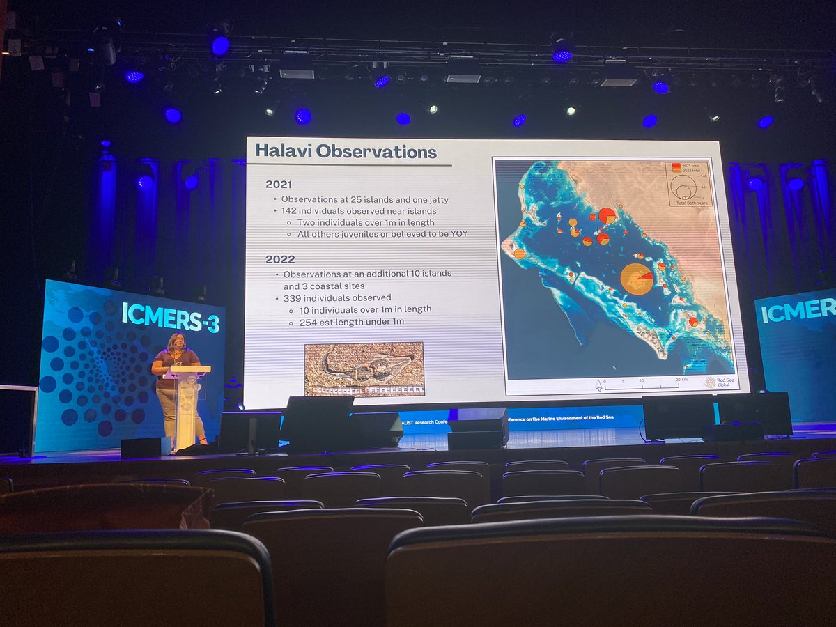 Reef Ecology Lab tweet media