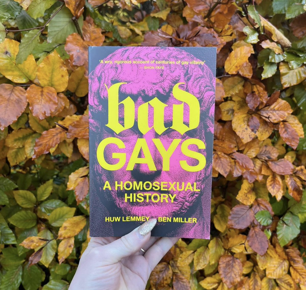 Our next meeting is Tuesday 12th December, 7.30-9pm @OctoberBooks. Join us to discuss chaper 14 of @huwlemmey and @benwritesthings' 'Bad Gays: A Homosexual History'