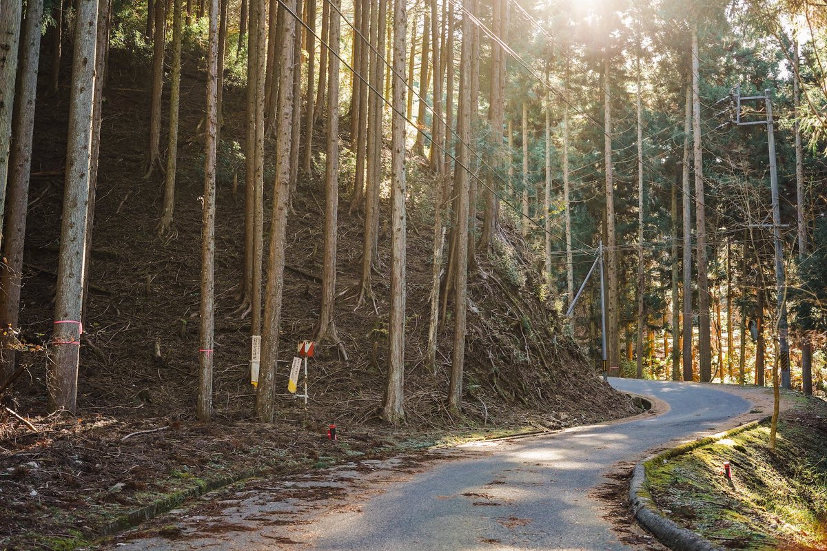 ElfynEvans's tweet image. Recce all sorted and great to be back in Japan. The stages had quite a lot of leaves and tree pines in sections- so overall quite polluted. And the weather is also looking changeable so it’s very possible we will face some difficult conditions over the weekend #EE33 @TGR_WRC