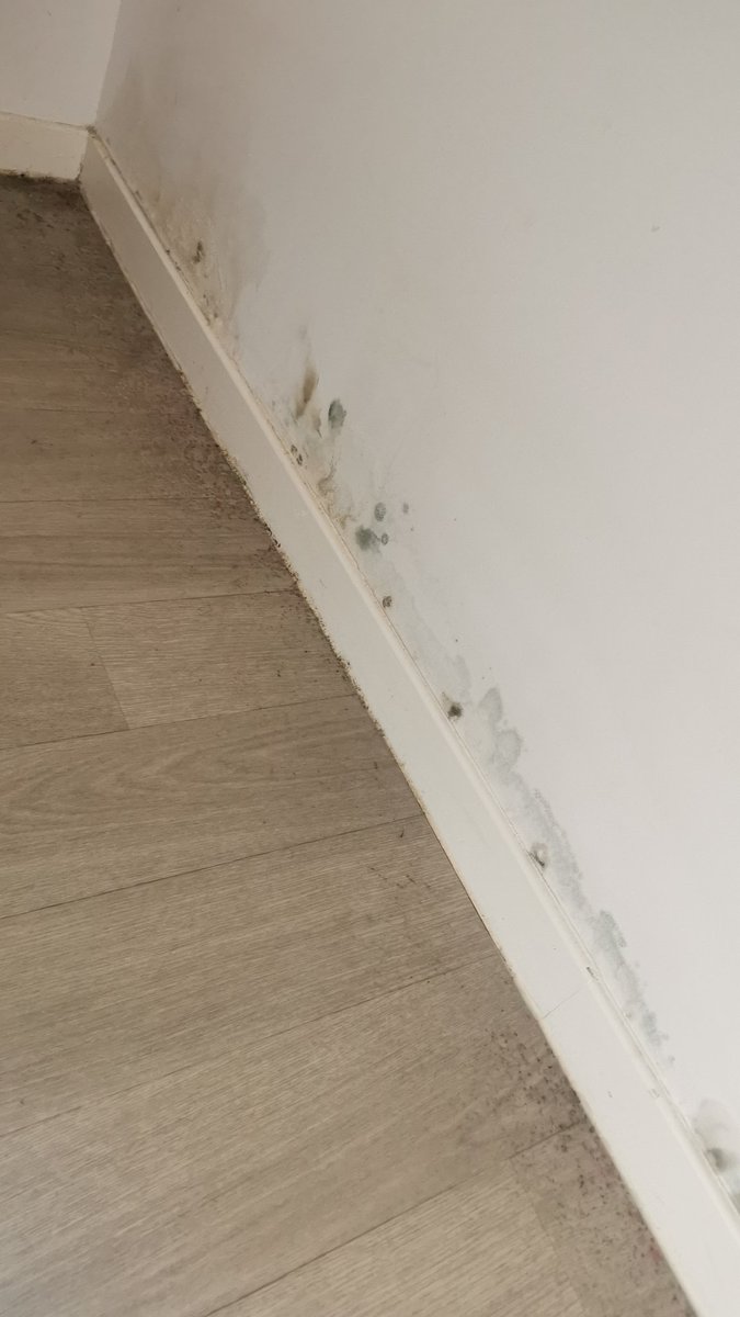 vinc_lmr's tweet photo. On va passer par les réseaux, peut être qu'il y aura une réaction.
Une semaine que je contacte @foncia qui est mon bailleur par téléphone et mail. j'ai aucune réponse, j'ai des infiltrations d'eau la résidence devient insalubre et ils ne bougent même pas le petit orteil. https://t.co/WAynbRlMdr