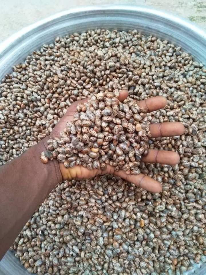 Ubuntu Leaders Academy tweet media