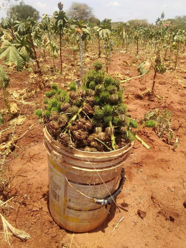 Ubuntu Leaders Academy tweet media