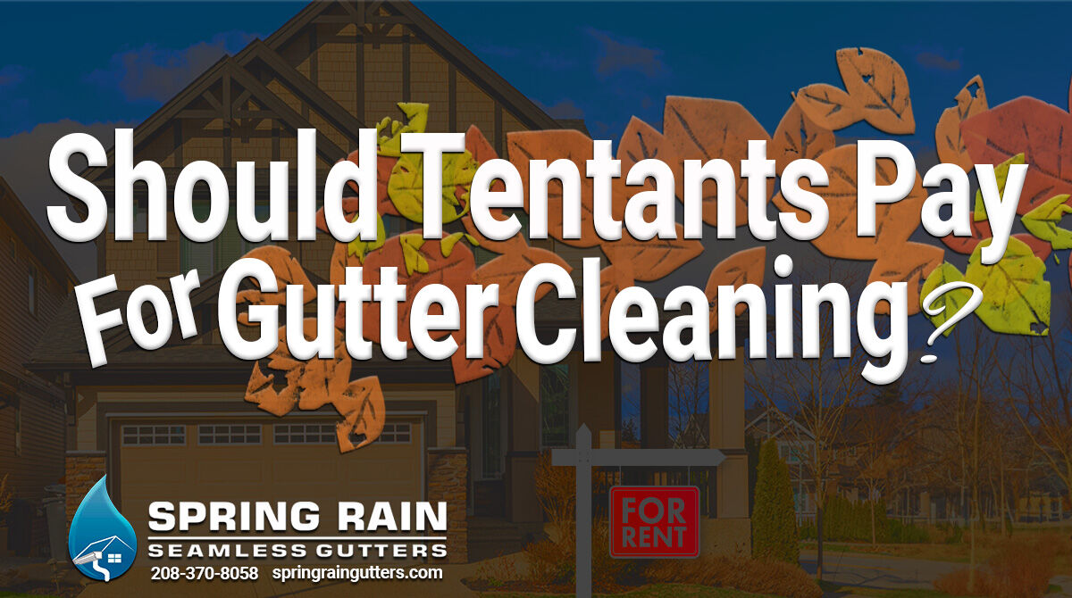 SpringGutters's tweet image. 🏡💧 Unsure about gutter cleaning responsibility? Check your lease & local laws. Spring Rain Gutters is here for maintenance when you need it! 🏠🌦️ #GutterMaintenance #SpringRainGutters