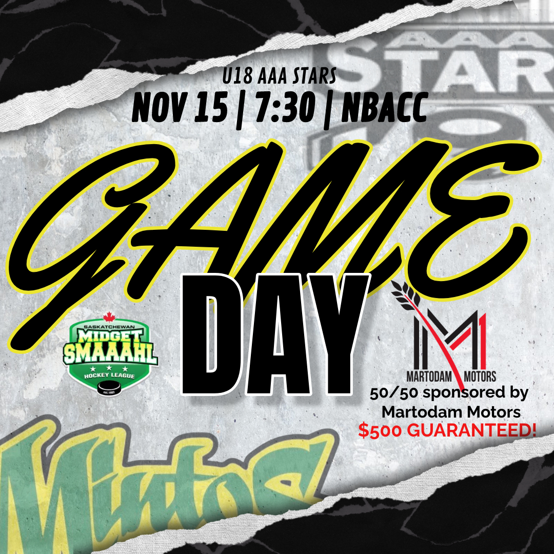 AAAStarsHockey's tweet photo. The Stars meet up with the Mintos tonight at the NBACC! Don't forget to grab your 50/50 tickets. It's a guaranteed $500 payout. Thank you Martodam Motors for your generous sponsorship. #aaastars https://t.co/FyNu9Gzu4o