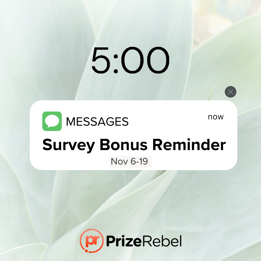 Prize Rebel on X: Remember, the 10% Survey Bonus is still ON