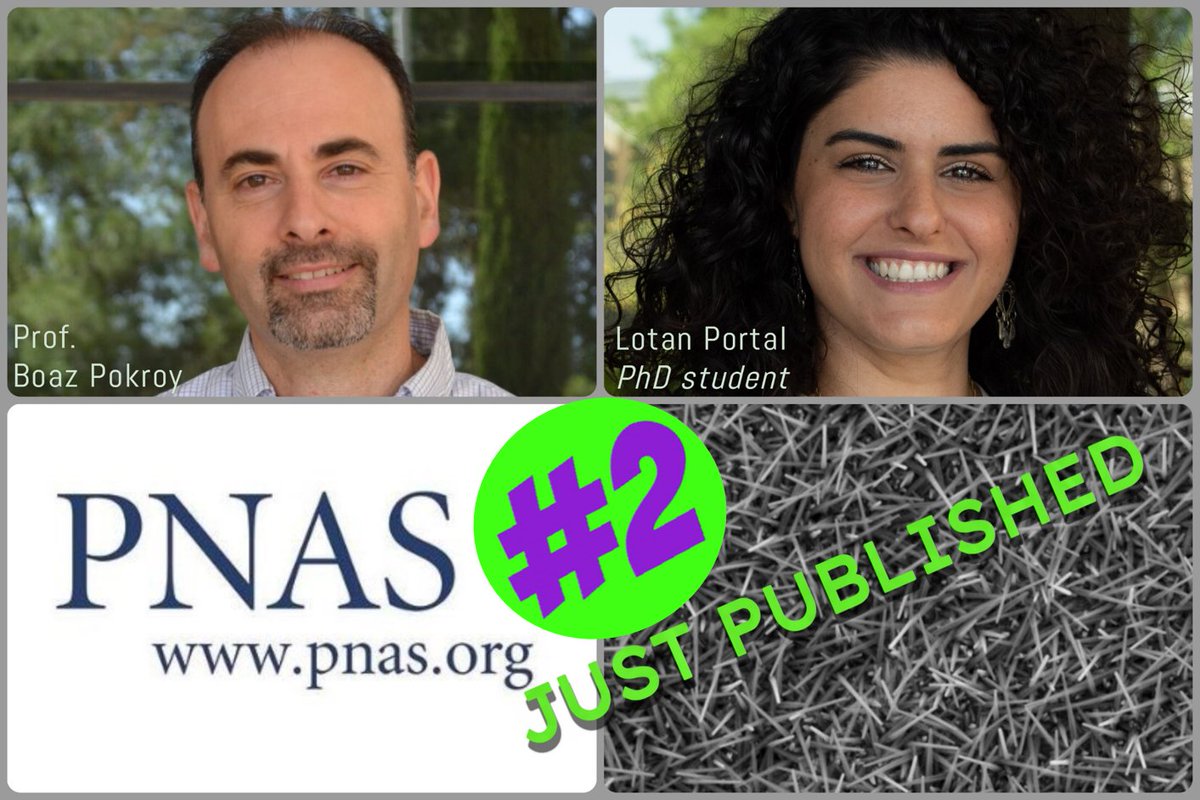 pokroy_lab's tweet image. Under embargo, but couldn't resist dropping a teaser! 🚀 Stay tuned for the big reveal! #ExcitementBuilding #TeaserAlert"