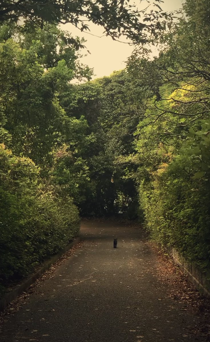 本日もお疲れ様でした！
「うちの社員は意欲が低い。もっといい人材はいないだろうか？」と、従業員のアラ探しばかりしている経営者。従業員は間違いなく「もっと信頼できる経営者のいる会社はないだろうか？」と転職先を探している。
 #企業公式がお疲れさまを言い合う 
 #企業公式秋のフォロー祭り