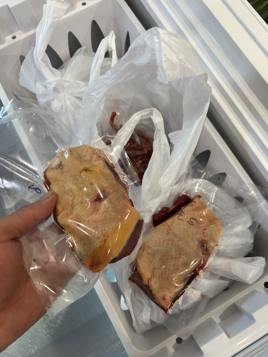 2023年猟期解禁！
初猟日はカモ撃ち行って来ました。
ぶりっぶりでした😌

安全に事故なく頑張りましょう！