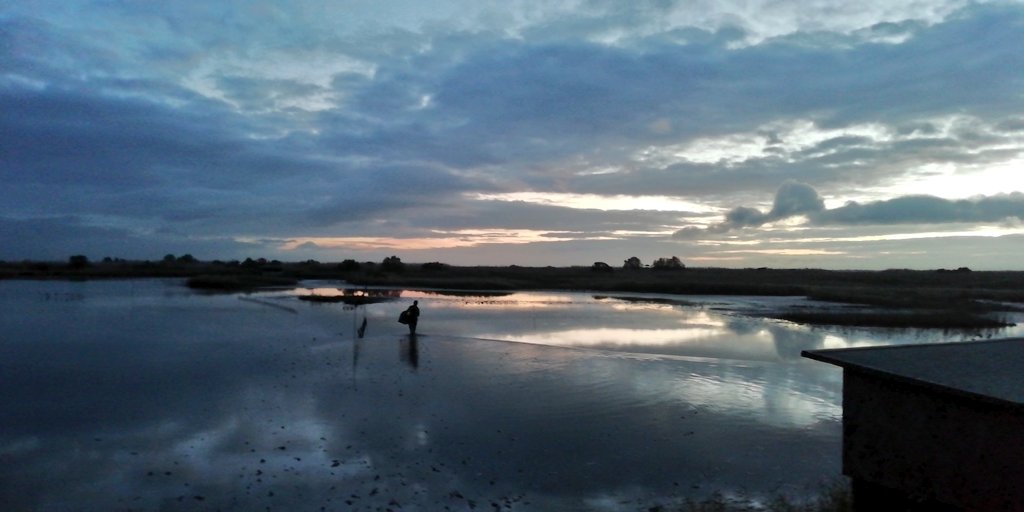 _JoseAAlves_'s tweet image. 2nd mist-netting session over 3 nights, resulting in almost 300 #waders sampled in the #Tagus #Estuary ! Good numbers of dunlin, redshank, grey plover &amp;amp; knot, sprinkled with curlew sand, turnstone, avocet, blackwit &amp;amp; barwit &amp;amp; a few little stint. #biodiversity #conservation