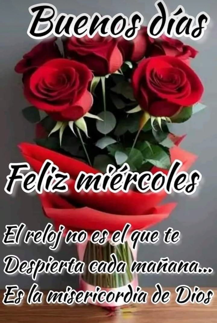 Lupe Monroy (@lupemonroy6) on Twitter photo 