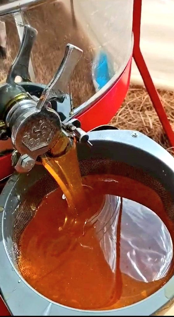Sivasbalevi's tweet photo. Ailenizin #balcısı
Üretiçisinden...
#Sivasbalı
#gercekbal arayanlar
#ZİHNİÇİFÇİSİVASBALEVİ 📩
#sivas #SonDakika #beekeeping #honey #bee #nahl #flowerhoney #polen #prapolis #perğa #arısütü
#aladdinçakıcı #ALTIN #plaka #aliyerlikaya #AnayasaMahkemesi https://t.co/2bUFVIKrtw