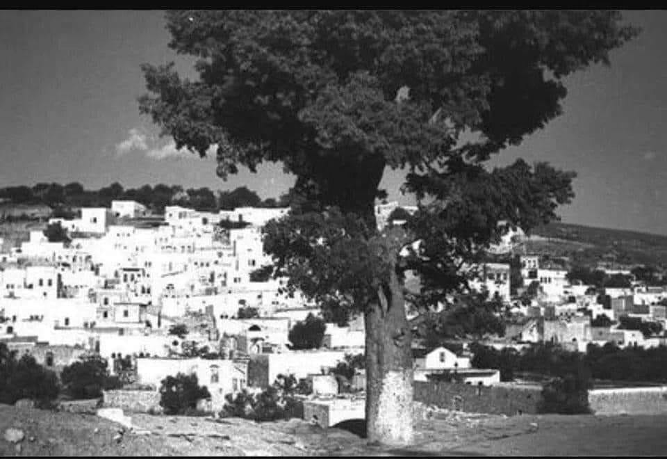 freemonotheist's tweet photo. 🇵🇸 The village of Miron, Palestine, before Zionist militias drove out the population in 1948.
