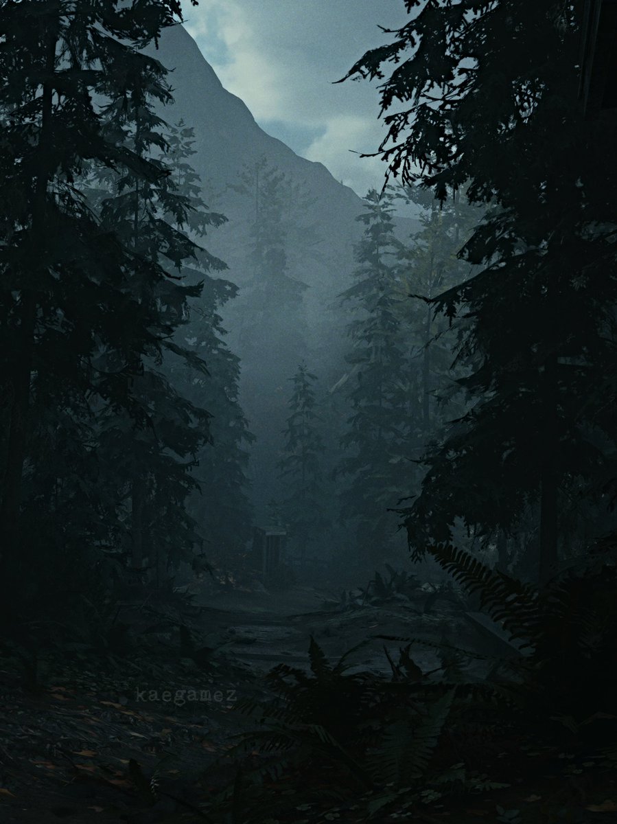 kaegamez's tweet photo. STORY TIME ๐ณ
Game: Alan Wake 2
Developer: @remedygames
#AlanWake #AlanWake2 #GamerGram #VirtualPhotography #PS5Share #PhotoMode #ThePhotoMode #TheCapturedCollection #WorldofVP #VPGamers #LandofVP #ArtisticofSociety #VirtualPhotoTop #VGPUnite #VGPNetwork #VPGraph https://t.co/cwhMJs6nJd