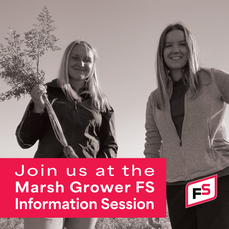 Good morning Marsh Growers! Have you signed up for the Dec. 14th Marsh Growers FS Information Session? Join the FSP team of Emma and Claudia as we review FS Scouting & Crop Inputs for 2024. RSVP at tinyurl.com/MarshGrowers12… #BradfordMarsh #HollandMarsh 🥕🥔🧅