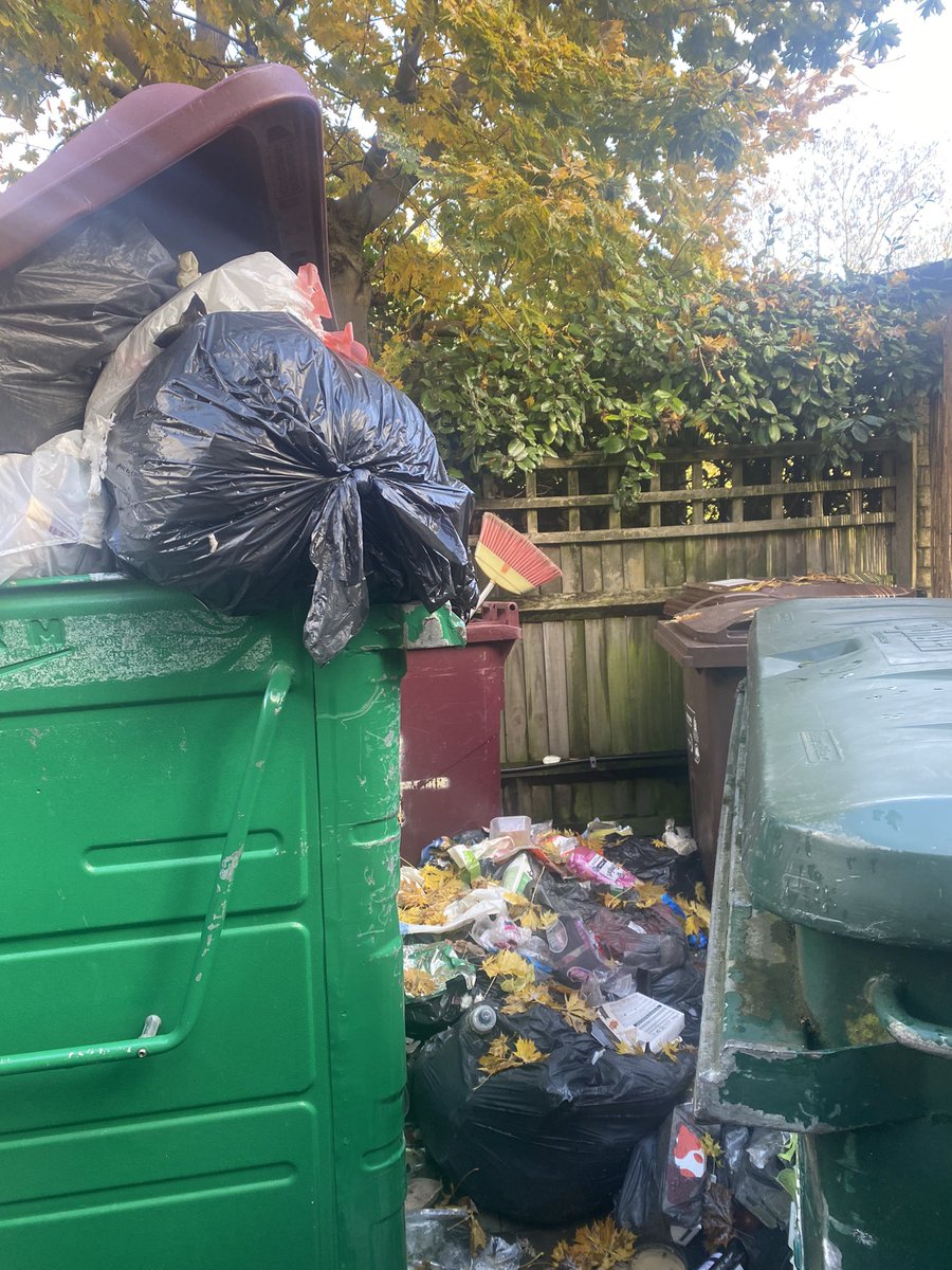Vivianne Infante (@vivianneinfante) on Twitter photo Please collect our rubbish <a href="/Merton_Council/">Merton Council</a> ! Rats are feasting as a result of 5 weeks of non collection. This is a health hazard. Please collect our rubbish <a href="/Merton_Council/">Merton Council</a> ! Rats are feasting as a result of 5 weeks of non collection. This is a health hazard.