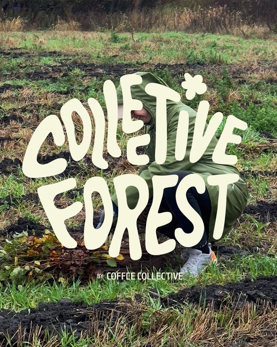 Fun fact: there’s less than 0.5% of Danish nature that’s considered truly wild
We have a mission to transform 21 Ha of empty farmland into a forest, that will someday sequester an average of 250 tons of CO2 each year. We call this project Collective Forest.
#collectiveforest