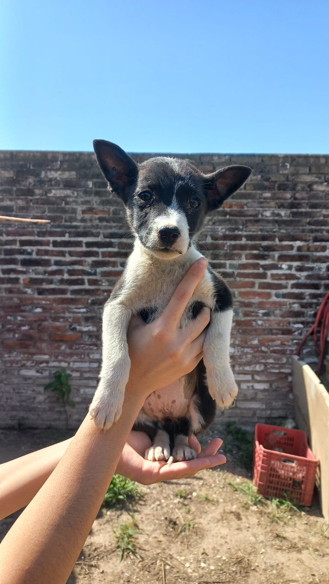 BEBITOS ABANDONADOS BUSCAN FAMILIAS RESPONSABLES 💛

3576414896

<a href="/VivireNuevaCba/">VivirenNuevaCórdoba®</a> <a href="/VivireNuevaCor/">VivireNuevaCórdoba</a>