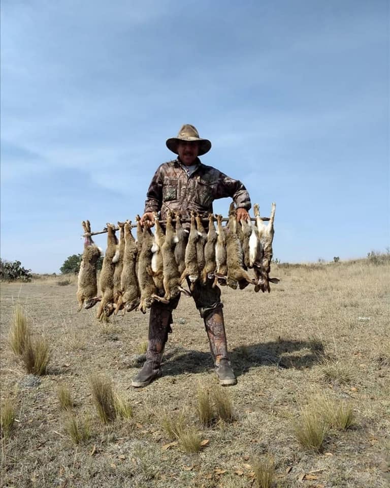 Para los cazadores matar animales es una diversión. Lo único que les importa es matar más y más animales.

Cuantos más, mejor.

Luego hablan de que no los maltratan.

#NoALaCaza #StopCaza #LaVerdadDeLaCaza #LaRevoluciónVerde