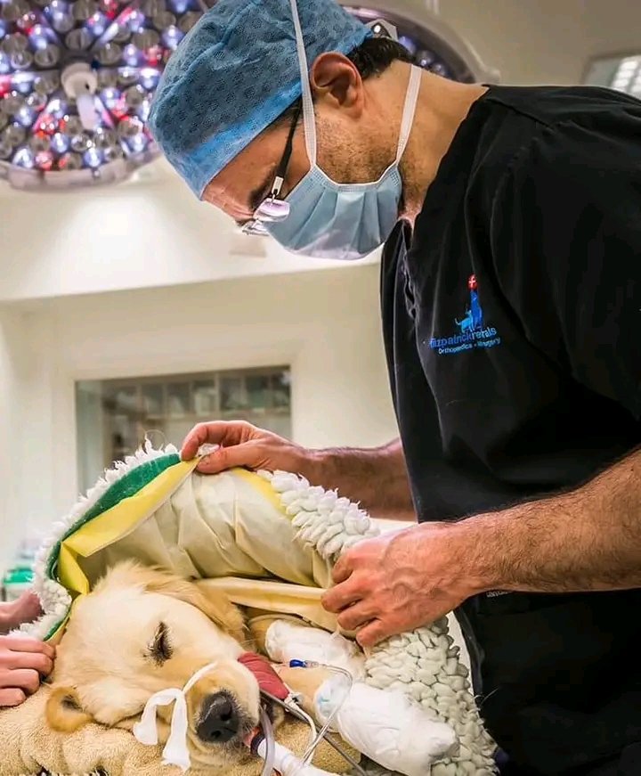 I love you all my fans ❤️❤️❤️❤️