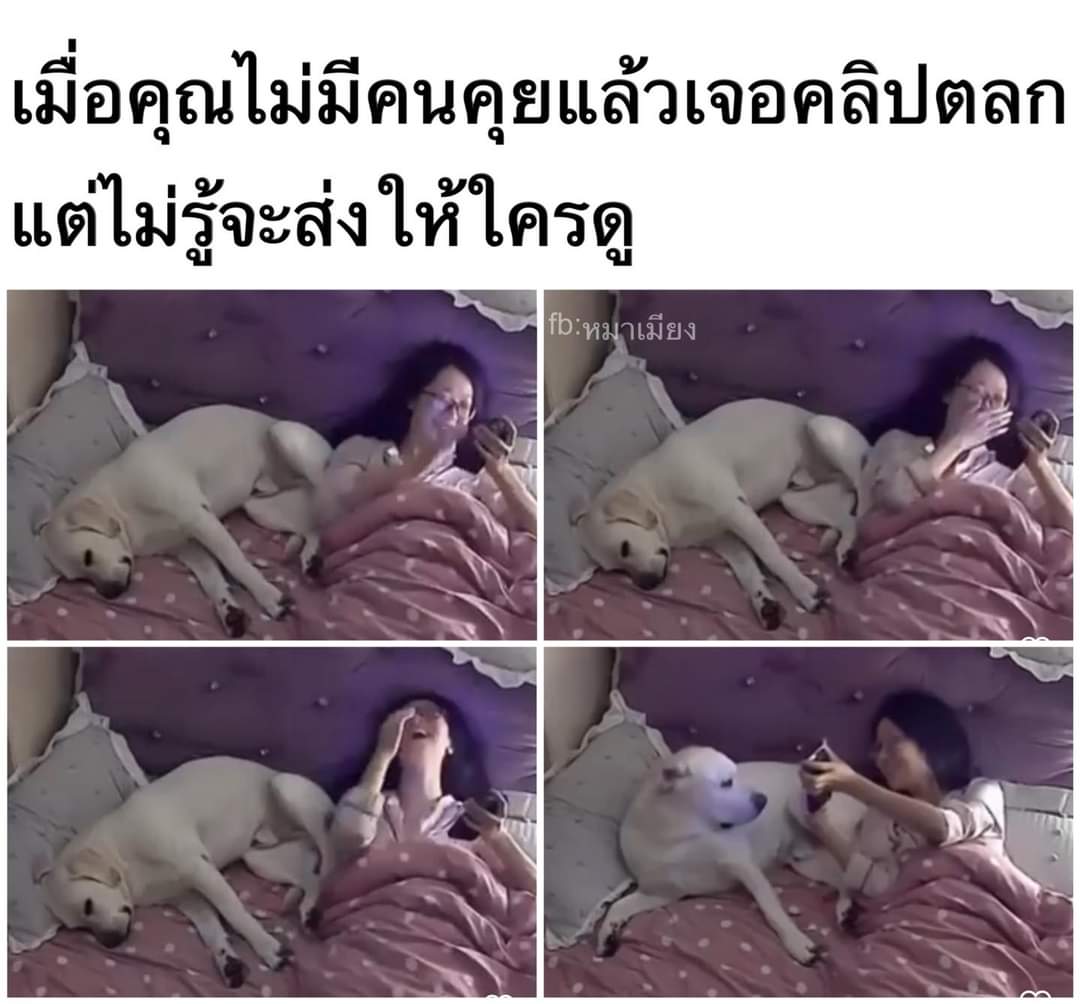 chaleenajaja's tweet image. ชีวิตกุเอง