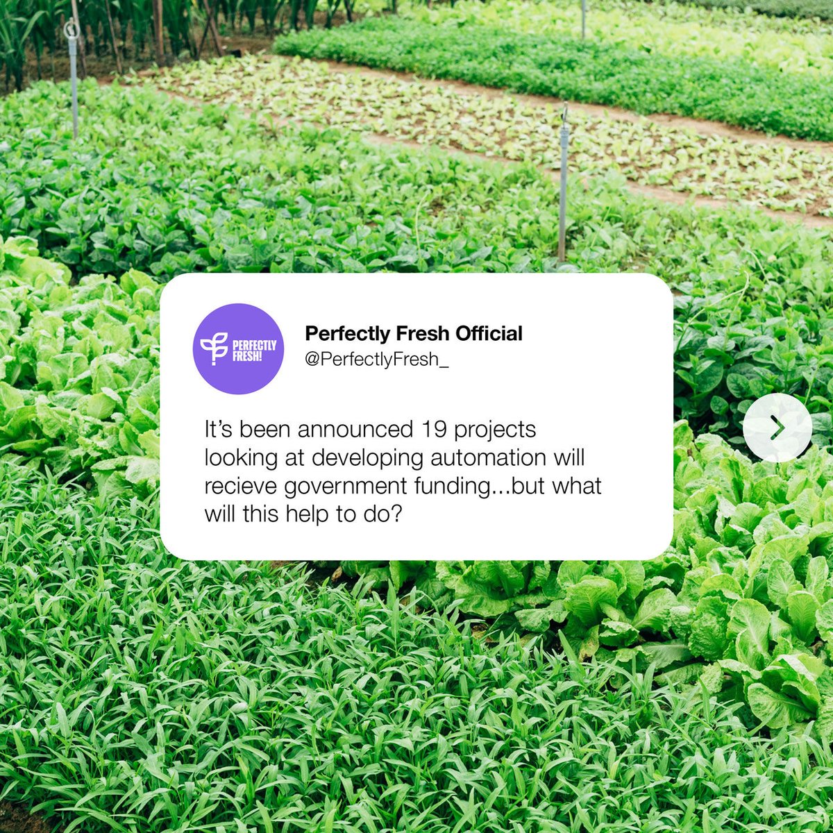 Perfectly Fresh Official tweet media