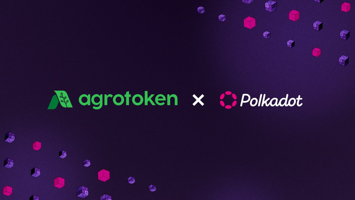 Polkadot tweet media