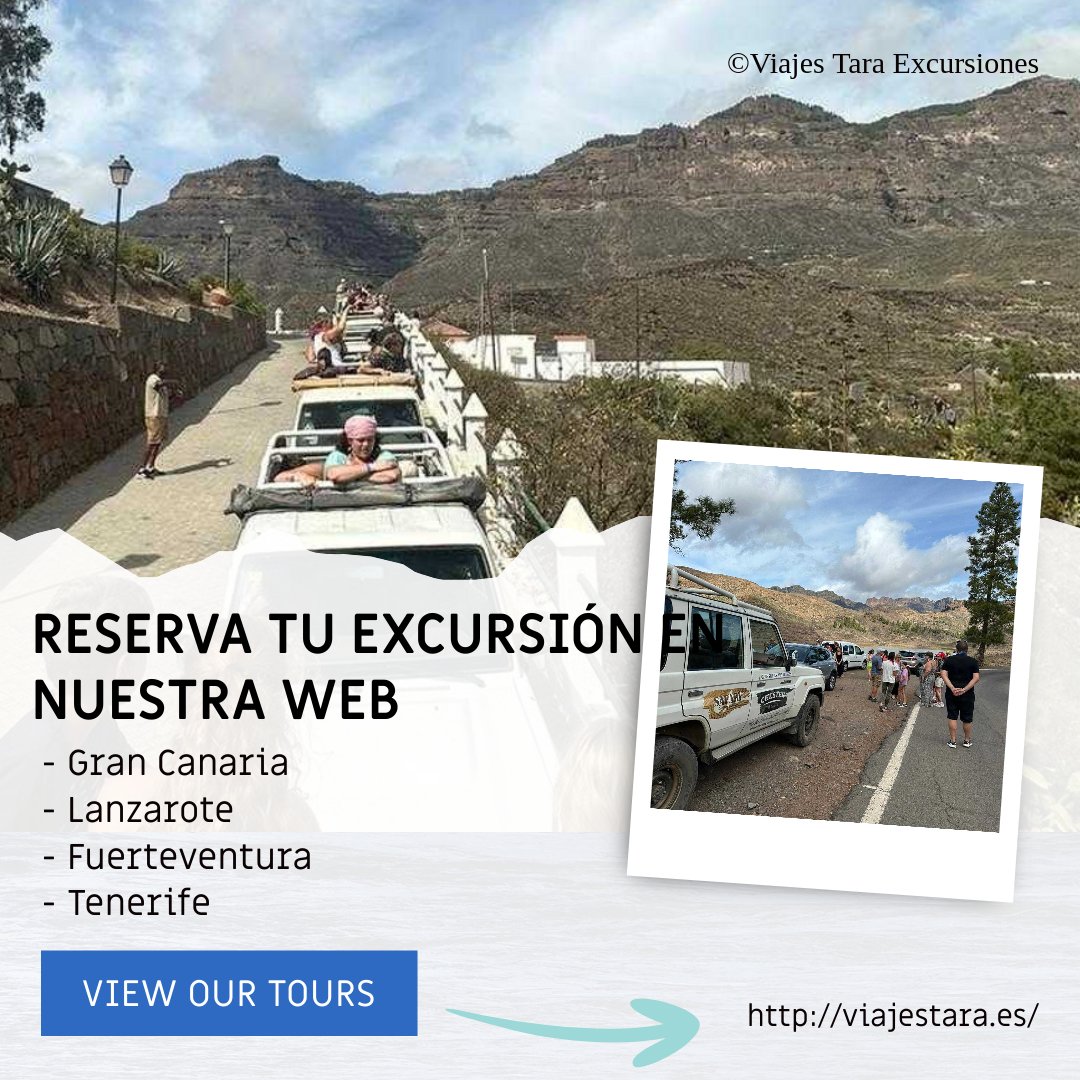 viajestara's tweet photo. Reserva ya tu excursión.

Te lo vas a perder? 
Entra en el mundo #viajestaraexcursiones 
Suscríbete y Reserva tus excursiones con nosotros. +34 928772377
#playadelingles #maspalomas #roquenublo #montaña #playa #trip #follow #travel  #love #friends #repost #nature #girl #fun https://t.co/viaI8mg0B6