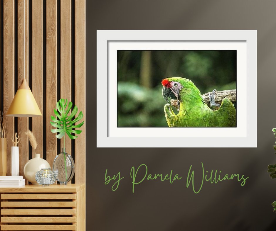 When the eagles are silent, the parrots begin to jabber!

SHOP HERE: bit.ly/3P3jqRo

#macaw #parrot  #birdlover #naturelover #birds #naturephotography #wildlife #sharepamsart #homedecor #homedecorideas #interiordesign #photography #artlover #buyintoart