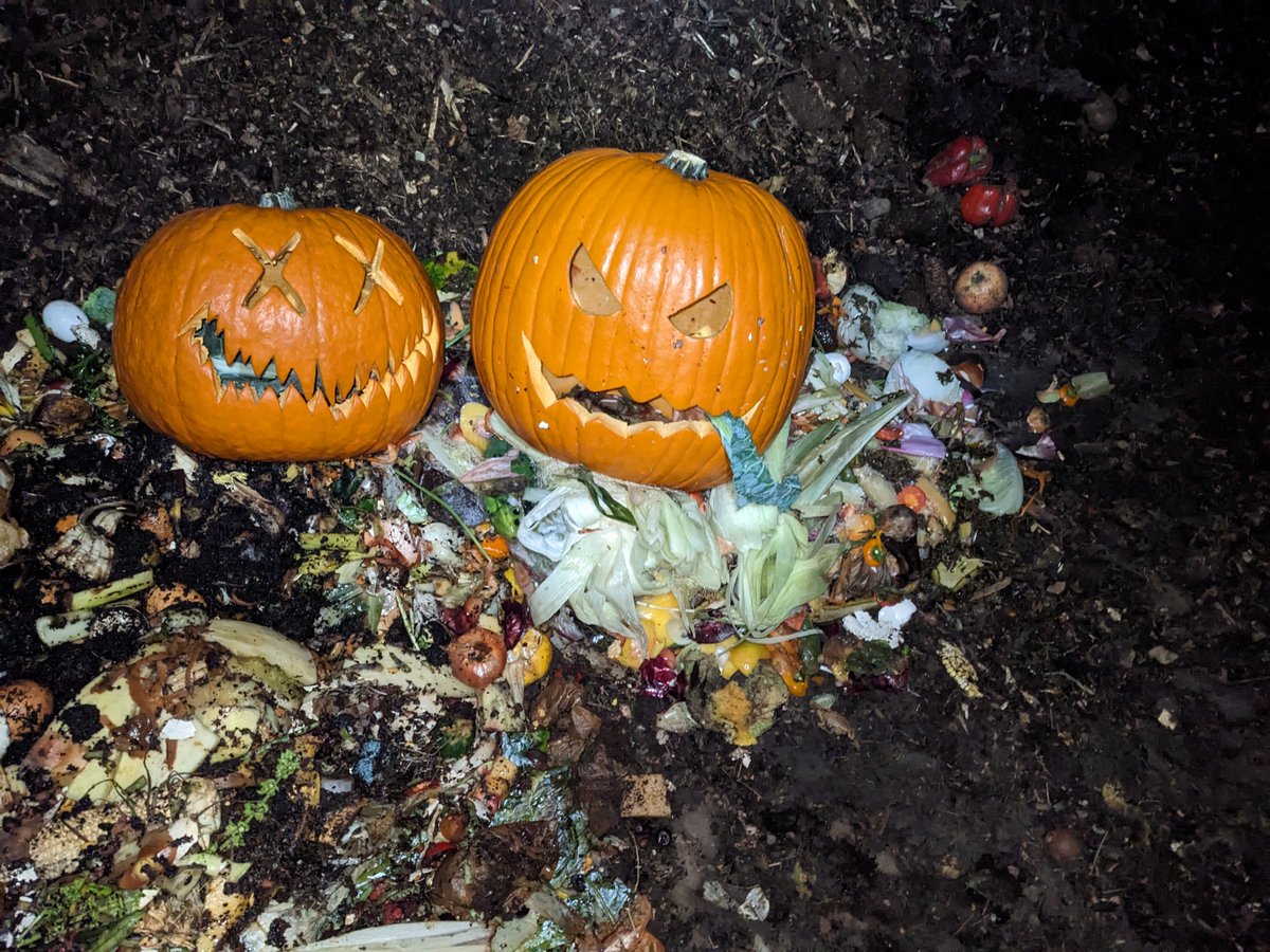 In our second year of pumpkin composting with <a href="/garverfeedmill/">garverfeedmill</a> over 70 pumpkins (600+ lbs) carved during their Pumpkin Party were transported by our compost interns to our food scrap program partner Neighboorhood Food Solutions, where they are now being used for compost.