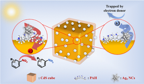 bhkenlo's tweet photo. Atomically Precise Metal Nanocluster Photosystem: Electron Relay Boosts Photocatalytic Organic Transformation | Inorganic Chemistry https://t.co/xaFF87CCcQ Yu, Xiao, &amp; co-workers @InorgChem #silver #polyallylamineHCL #GSH #atomically_precise #NCs #photocatalysis #ChargeSeparation https://t.co/2InxtRdI0b
