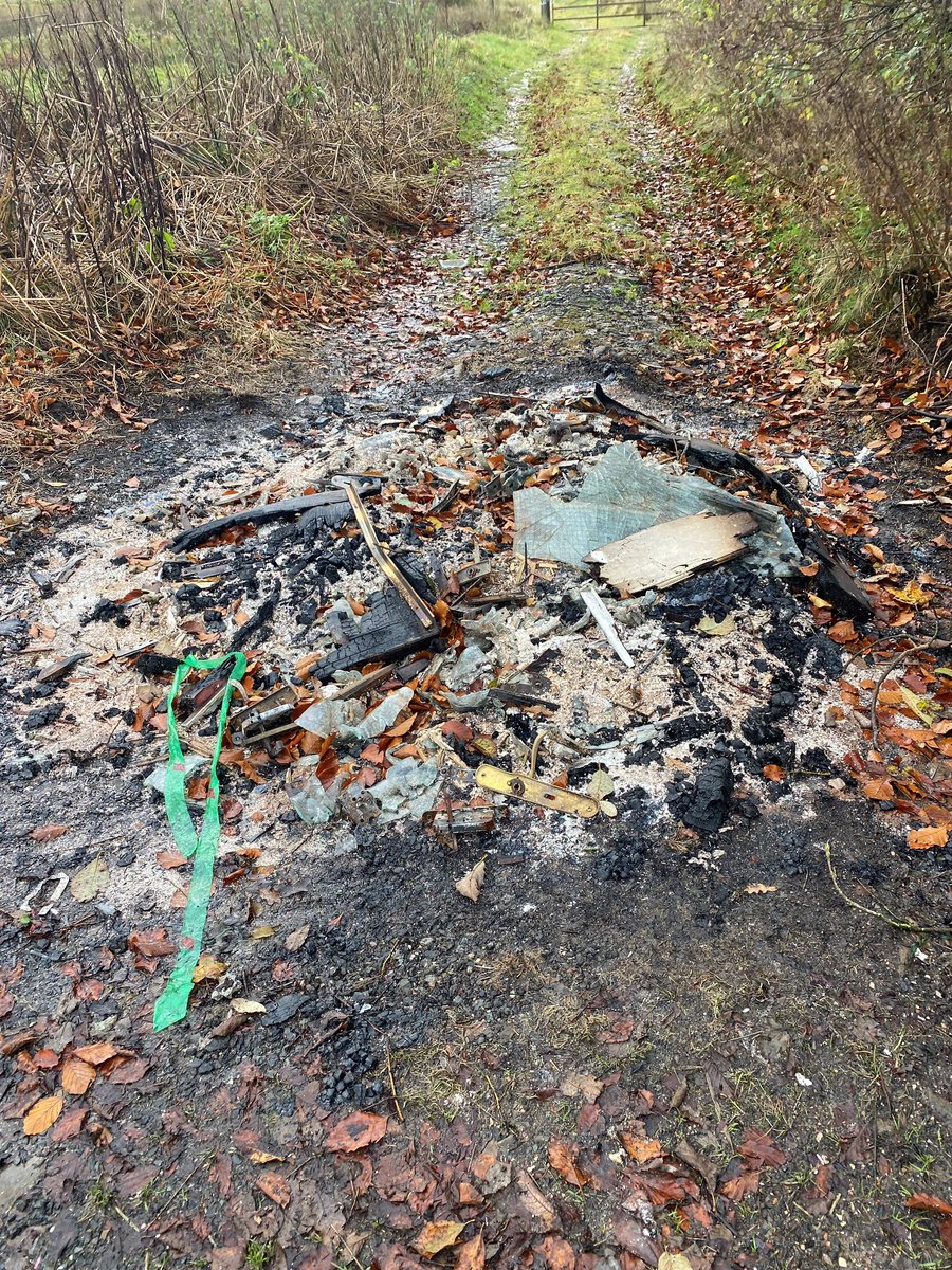 Simon Lewis-Pierpoint tweet media