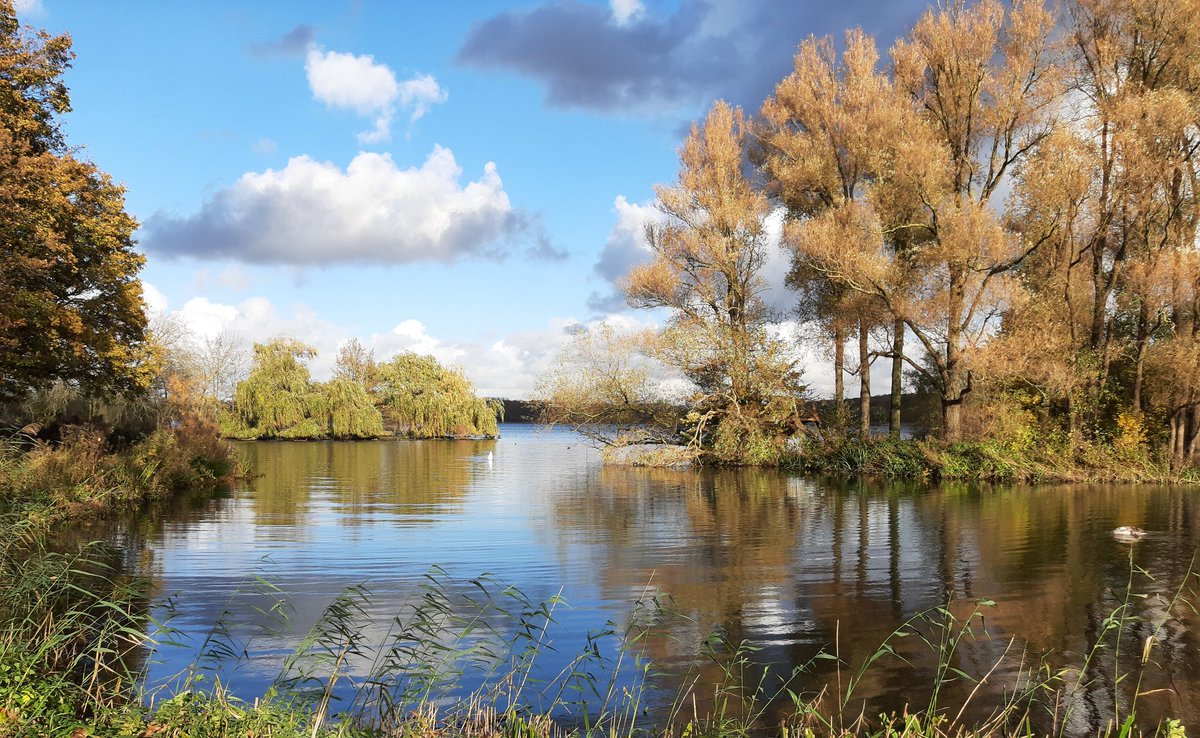 MEKloppenburg's tweet photo. Rondje #Kralingseplas. Genoten van de prachtige #wolkenluchten en de draaiende #Plasmolens, waar het heerlijk naar specerijen rook. #Rotterdam https://t.co/L52dyiQdy9