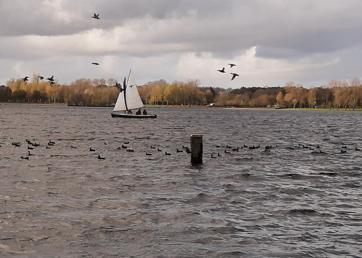 MEKloppenburg's tweet photo. Rondje #Kralingseplas. Genoten van de prachtige #wolkenluchten en de draaiende #Plasmolens, waar het heerlijk naar specerijen rook. #Rotterdam https://t.co/L52dyiQdy9