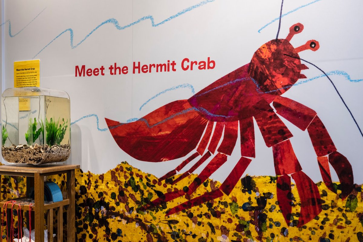 The Seaport Museum is a big fan of the art and picture books by #EricCarle and offers a #discovery room filled with maritime-themed immersive murals inspired by his work. Learn more and visit the Museum at 12 Fulton Street Wed–Sun, 11–5. seaportmuseum.org/seaport-discov…