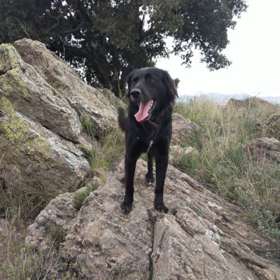 Gerardo08976851's tweet photo. #NuevaFotoDePerfil https://t.co/j2u2tqn3Cf