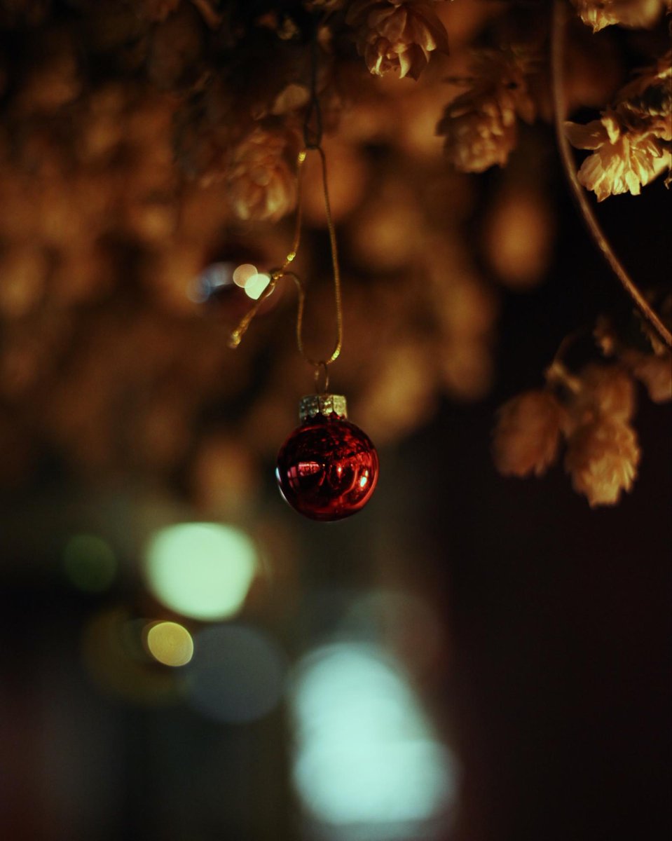 It’s officially Christmas here at Pivni! Keep an eye out for our new festive cocktail menu coming within the next week!

#york #yorkfoodanddrink #craftale #craftalebar #delirium #belgianbeer #dogfriendlyyork #craftbeer