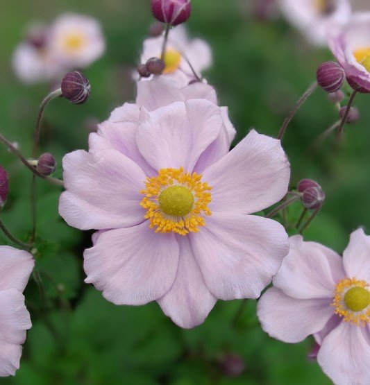 `
｡.*.｡.:* よい日に

                           なりますように  *.｡.:*☆*

#優しいつながりに感謝 
 #体調管理に気をつけましょうね