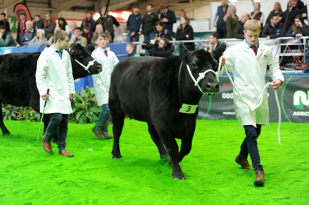 Another beefy highlight for #AgriScot23. Taking place in the show ring at 11:30am onwards…the beef demonstration, focusing on finishing cattle. Sponsored by @qmscotland, supported by @AberdeenAngusUK, organised by @SRUC. Full programme here: agriscot.co.uk/event-programm…