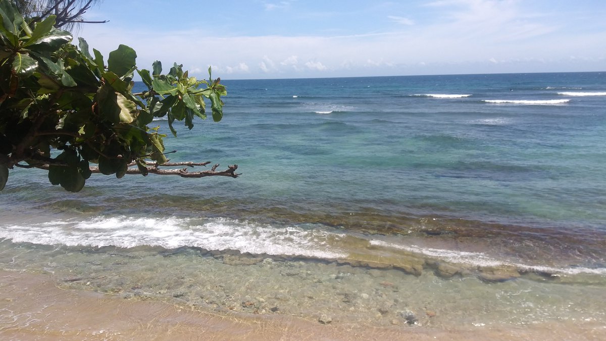 mappuertorico's tweet photo. #puertorico #isabela #playahobos https://t.co/GPQ1lbMC4a