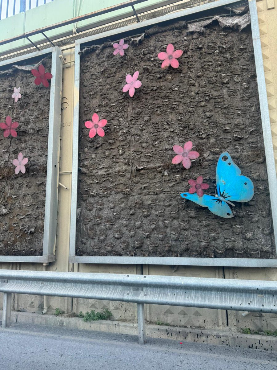 arifytr07's tweet image. Bu e5 cevizlibağ bölgesindeki dikey ormanları neden gözetmiyorsunuz acaba?
Sıkışık trafikte en azından biraz çiçek böcek görseydik... hepsi paslanmış, tekear boyamak gerekiyor...

@IBBcozummerkezi