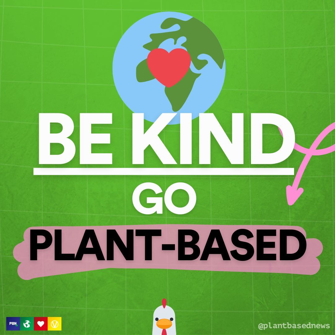 PlantBasedNews's tweet photo. Be kind this #WorldKindnessDay. Go plant-based 🌱 https://t.co/b4Ghidp5kf