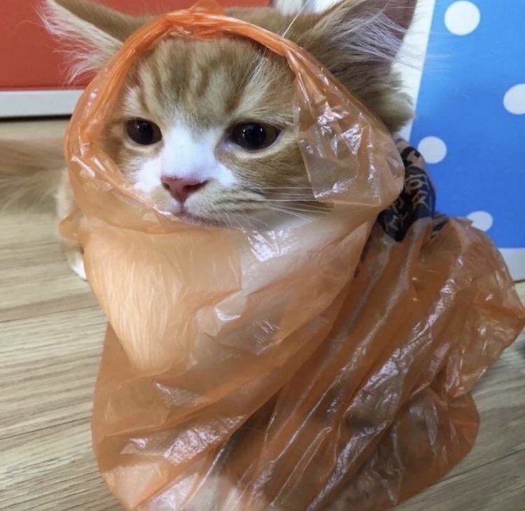 Now let’s see which shitters grok’s money will inflow to