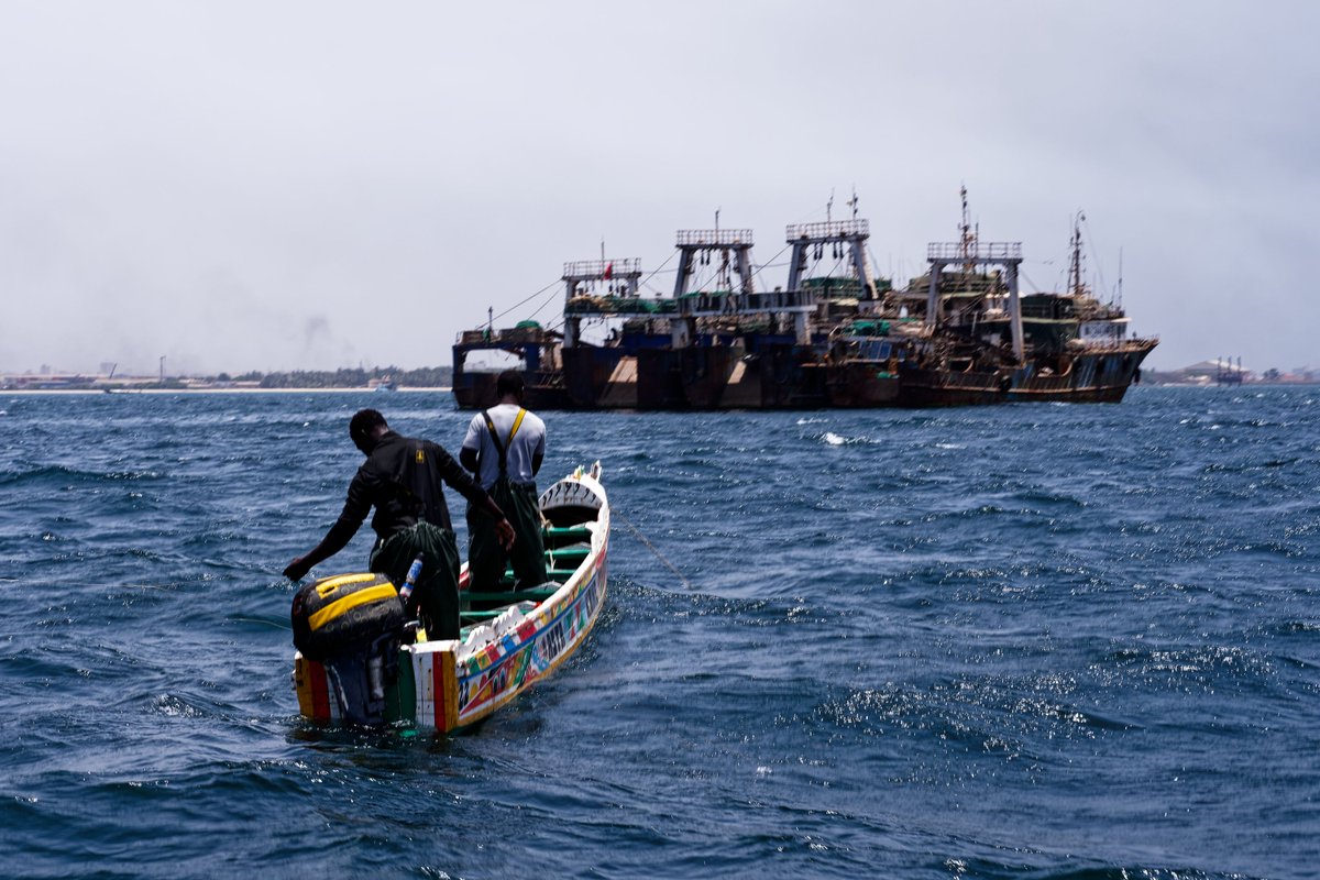 🦀 New TBT Coalition newsletter! 🦀 Read this month's issue to learn about the impacts of #bottomtrawling on coastal communities in Senegal, strategies to secure artisanal fishing zones in West Africa, and why we should #SayNoToScampi in the UK 🪸 👉shorturl.at/ahyUX👈